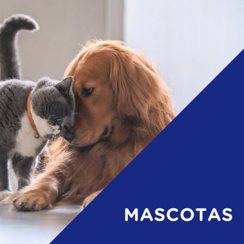 Mascotas